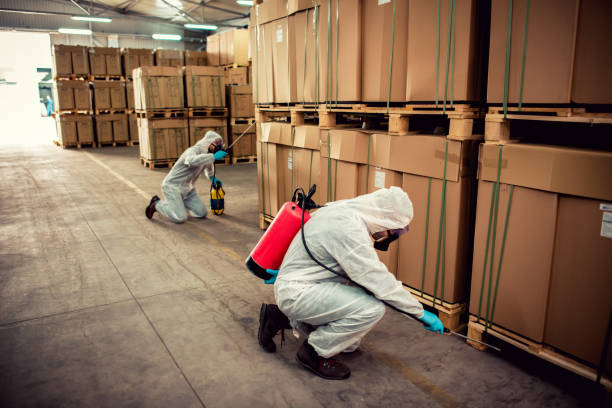 Best Cockroach Control Services  in Valley Hill, NC