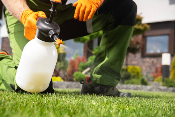 Best Commercial Pest Control Services  in Valley Hill, NC