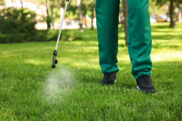 Best Ant Control Services  in Valley Hill, NC