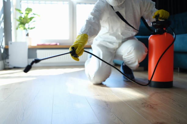 Best Local Pest Control Services  in Valley Hill, NC