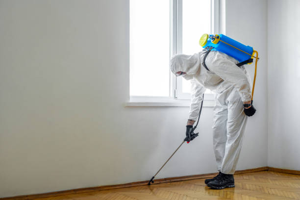 Best Pest Control for Restaurants  in Valley Hill, NC