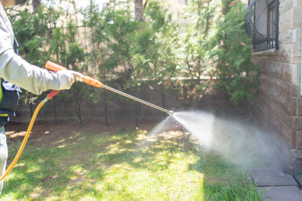 Best Best Pest Control Companies  in Valley Hill, NC
