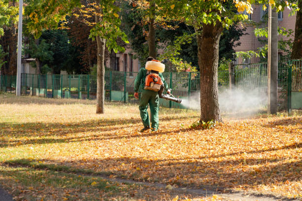 Best Pest Inspection Near Me  in Valley Hill, NC
