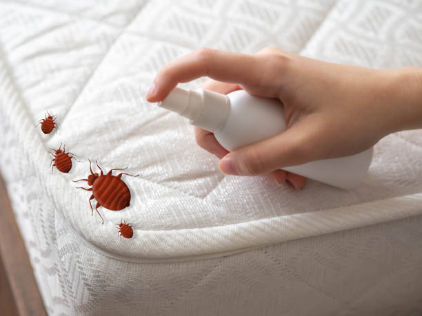 Pest Control for Restaurants in Valley Hill, NC